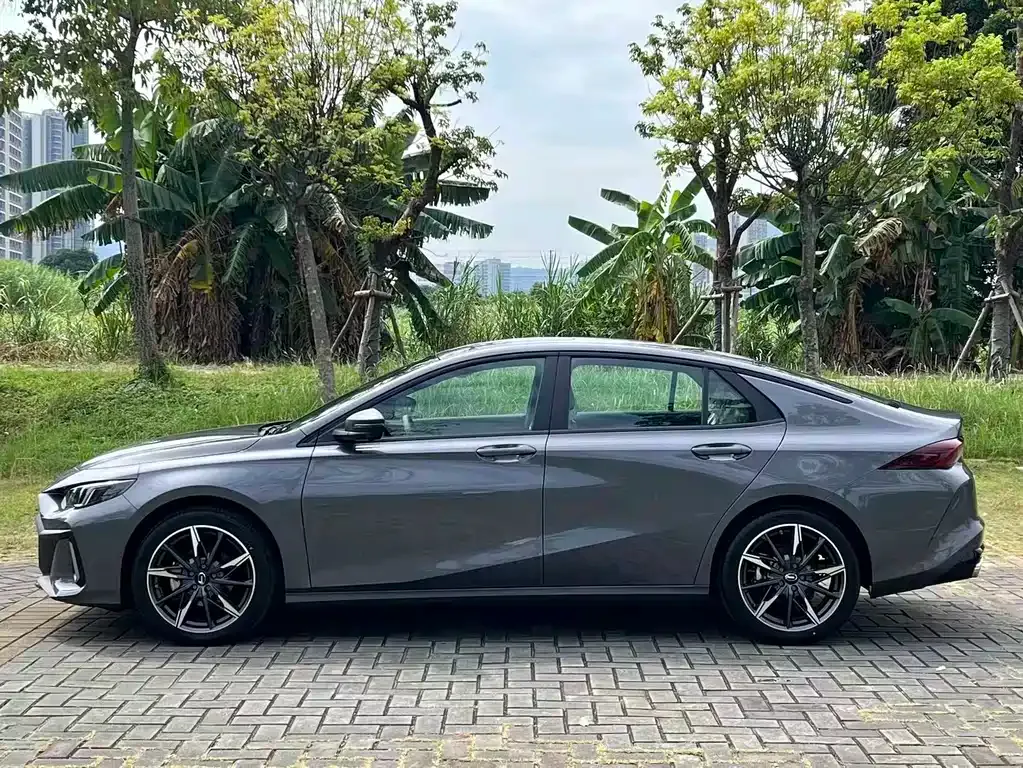 GAC Motor Shadow Leopard 2025 из CN, фото 9