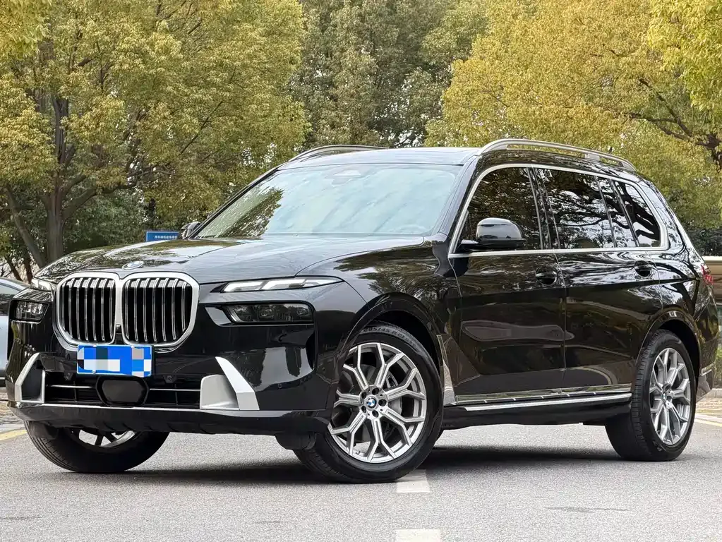 BMW X7 — фото 1