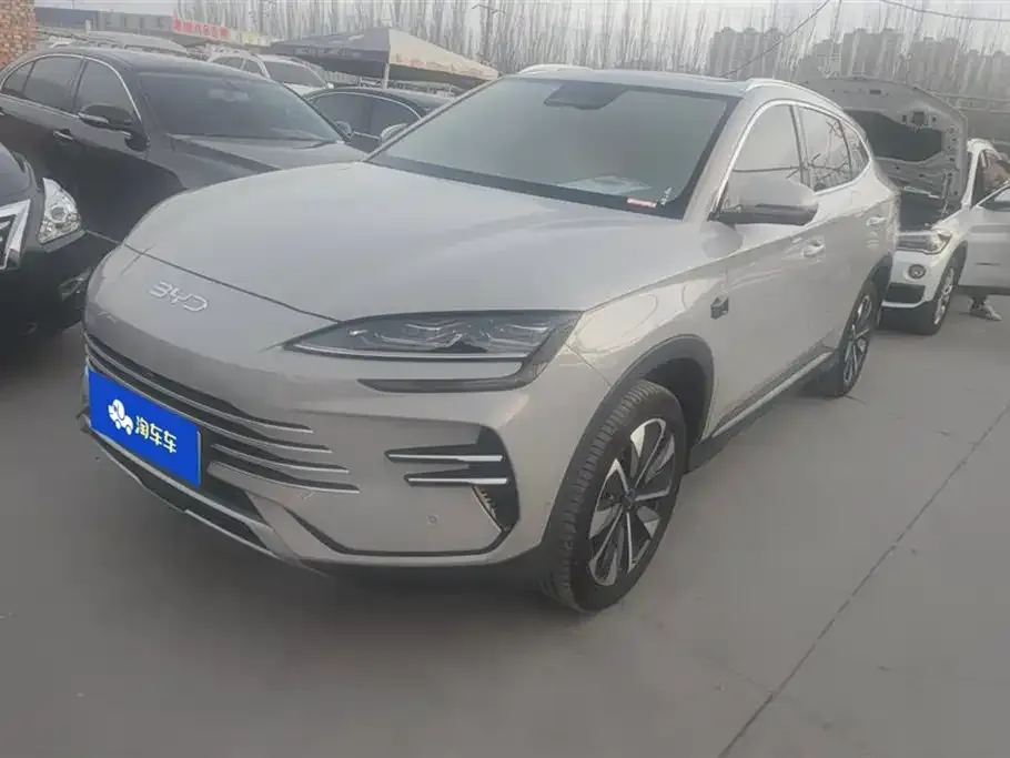 BYD PLUS New Energy 2025 из CN, фото 1