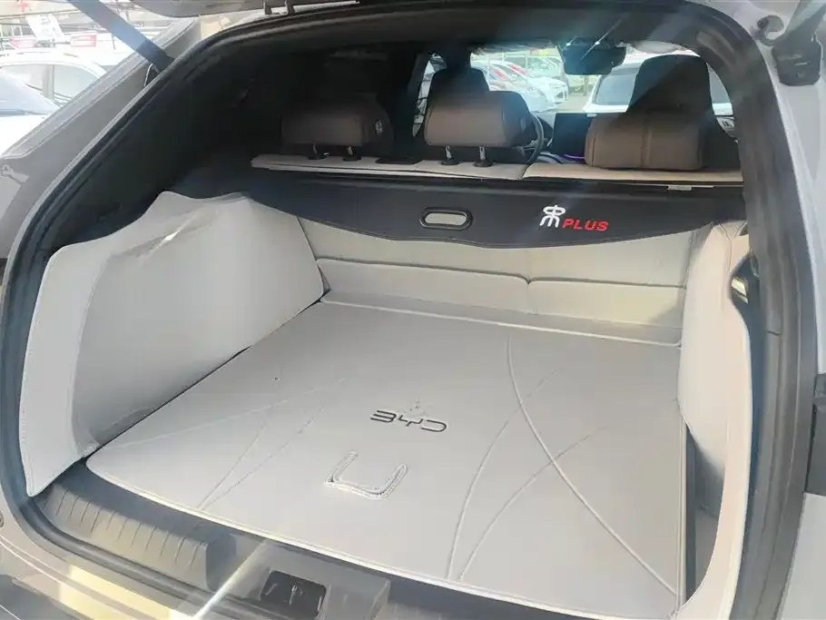 BYD PLUS New Energy 2025 из CN, фото 7