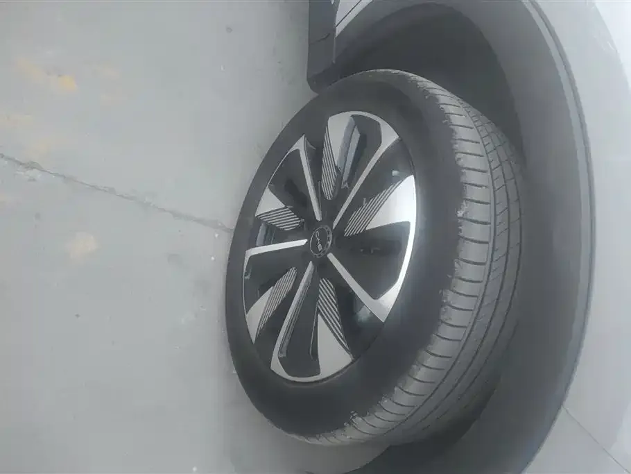 BYD PLUS New Energy 2025 из CN, фото 3