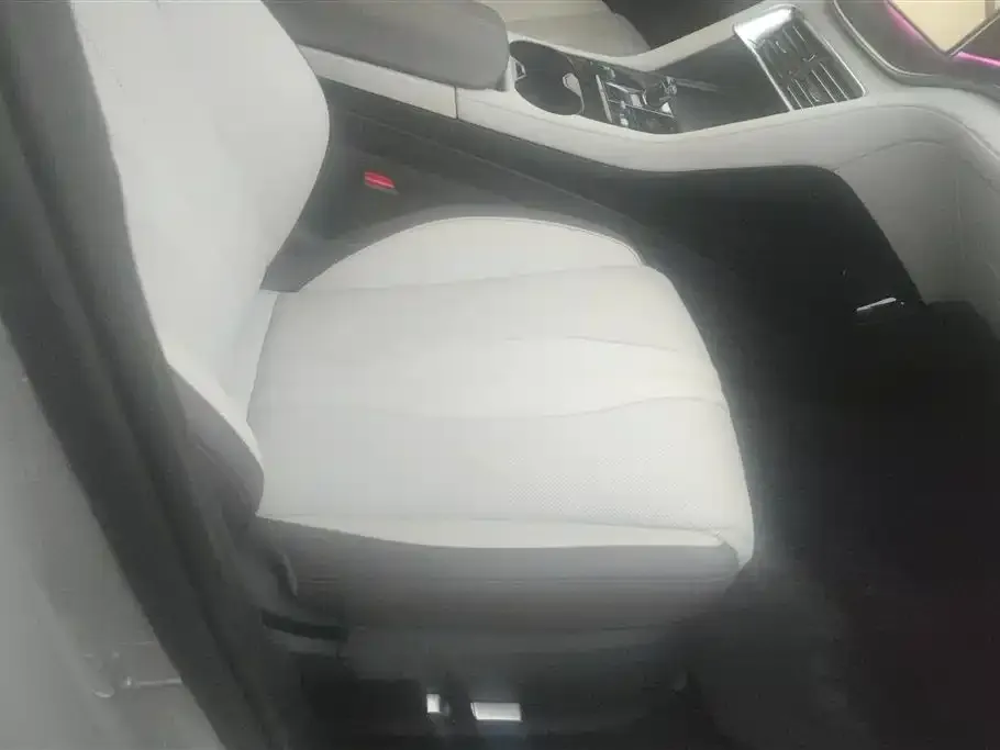 BYD PLUS New Energy 2025 из CN, фото 2