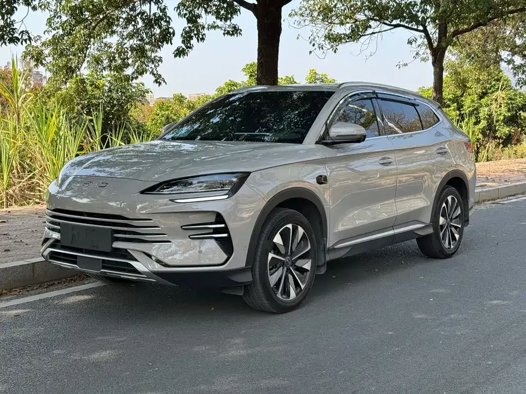 BYD PLUS New Energy — фото 1