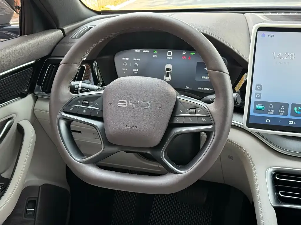 BYD PLUS New Energy — фото 8