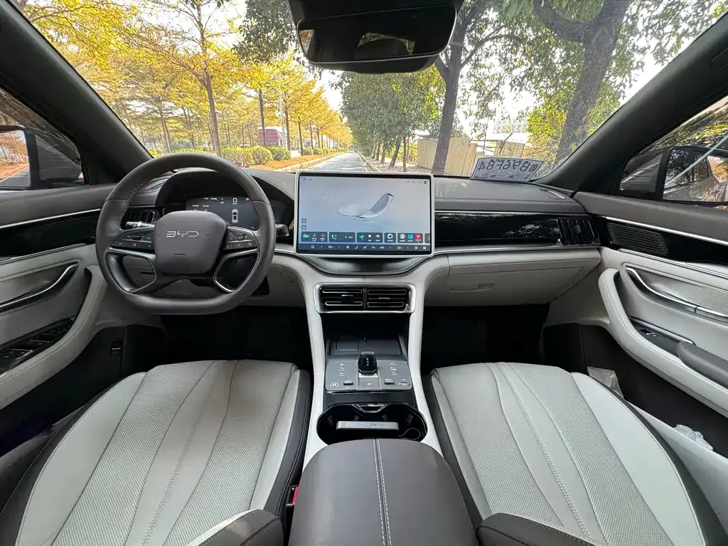 BYD PLUS New Energy — фото 4