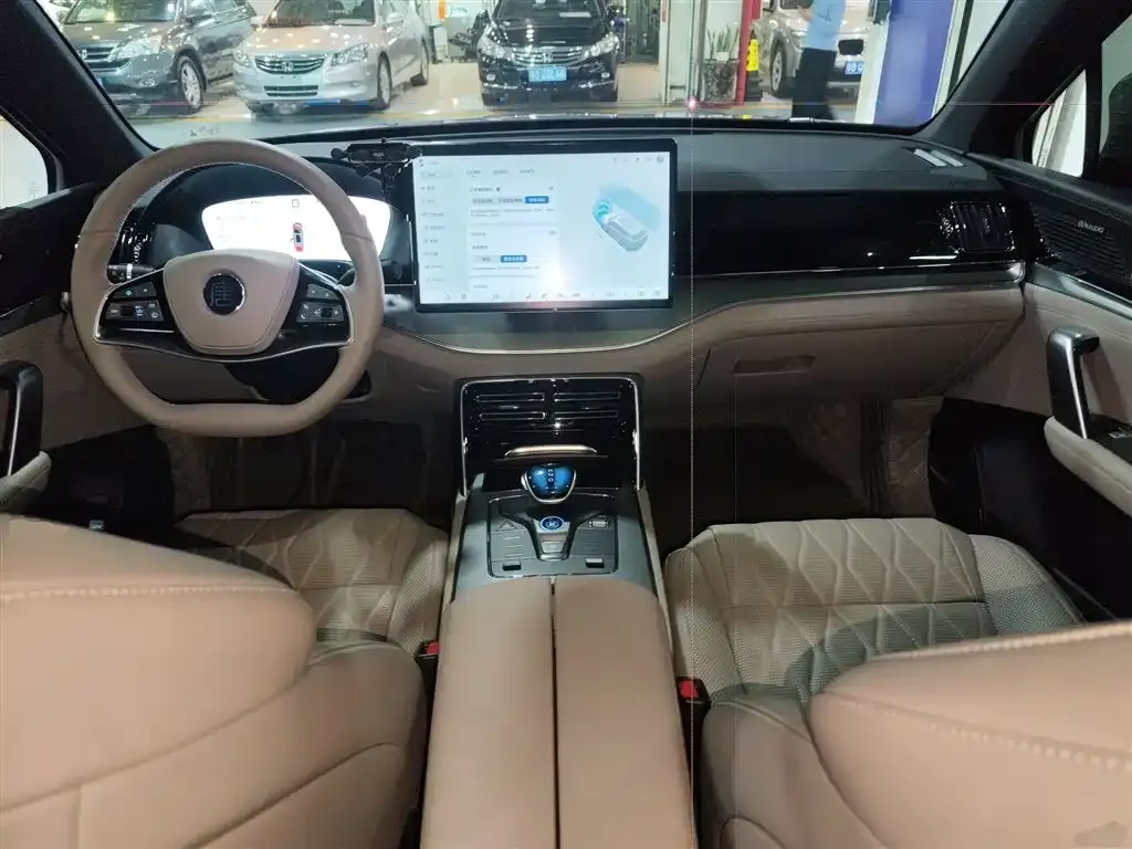 BYD Tang New Energy 2025 из CN, фото 5