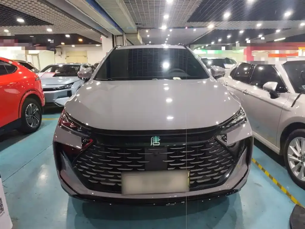 BYD Tang New Energy 2025 из CN, фото 9