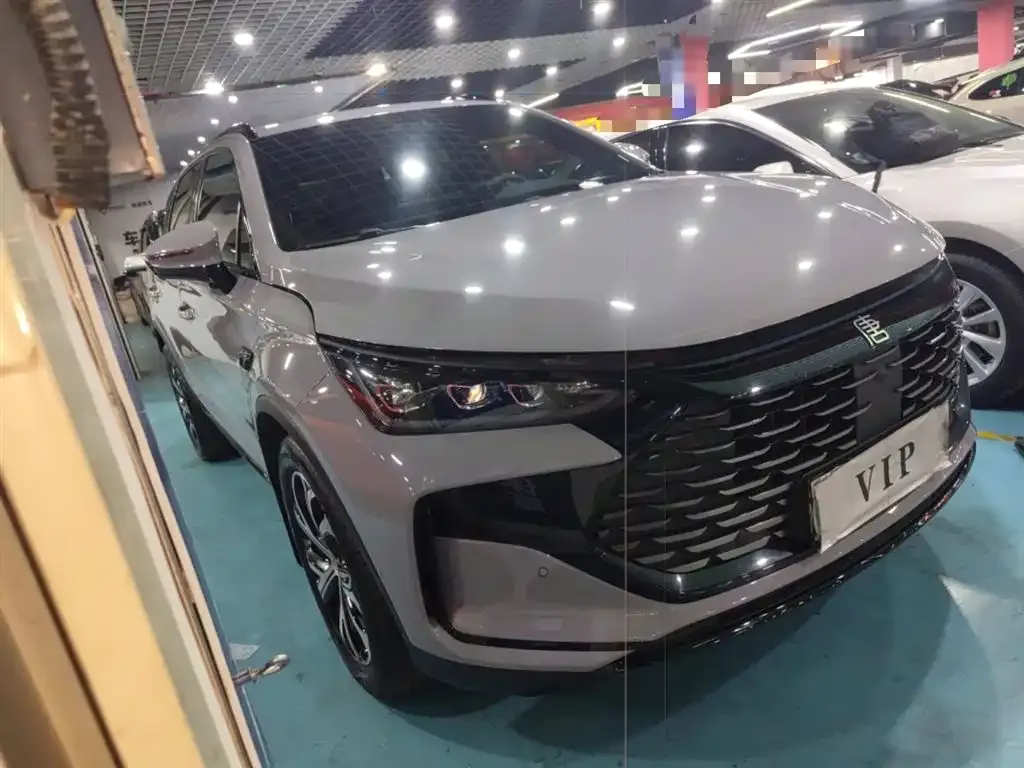BYD Tang New Energy 2025 из CN, фото 10