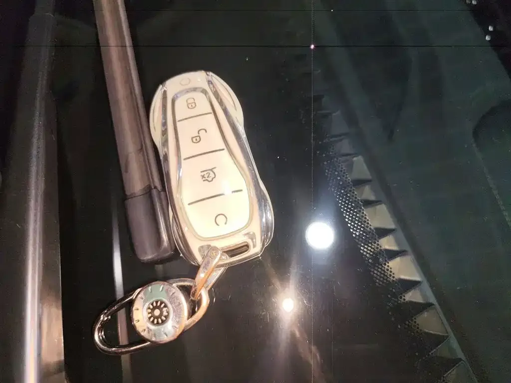 BYD Tang New Energy 2025 из CN, фото 6