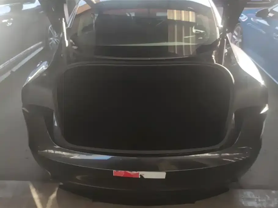 Tesla Model 3 2026 из CN, фото 2