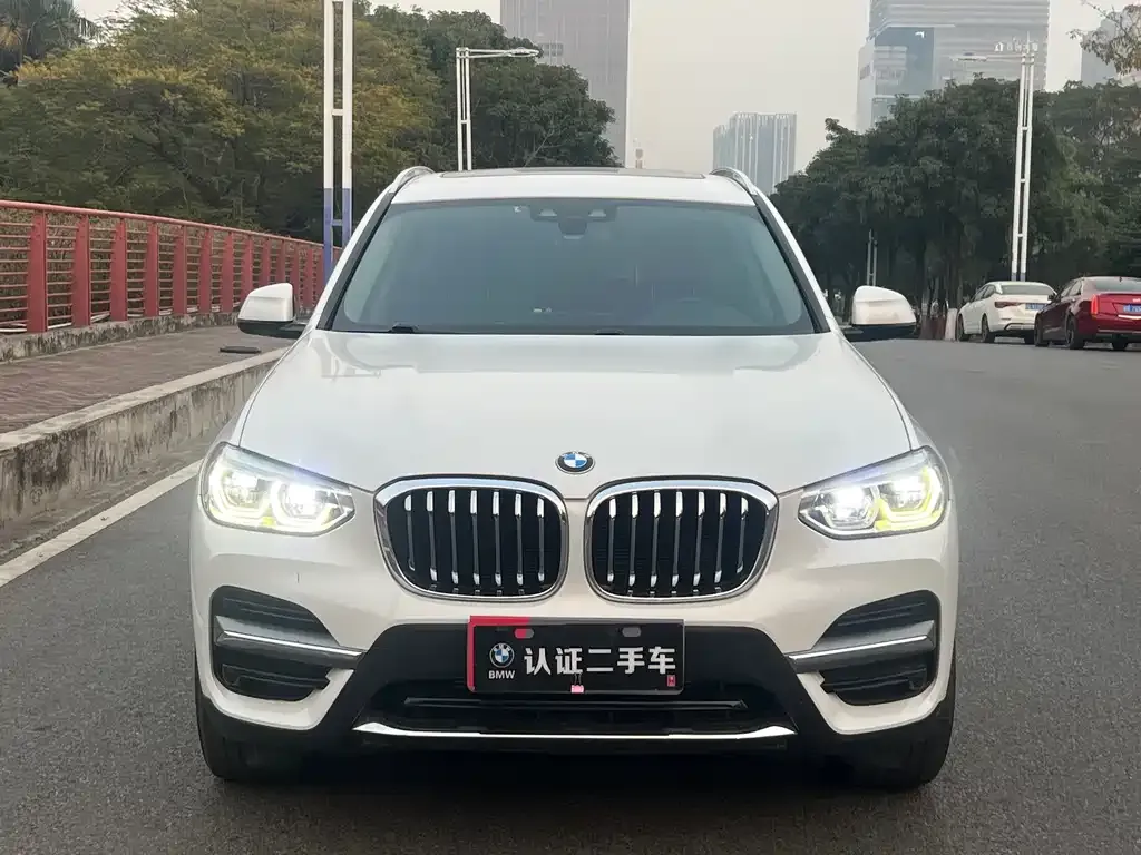 BMW X3 2021 из CN, фото 8