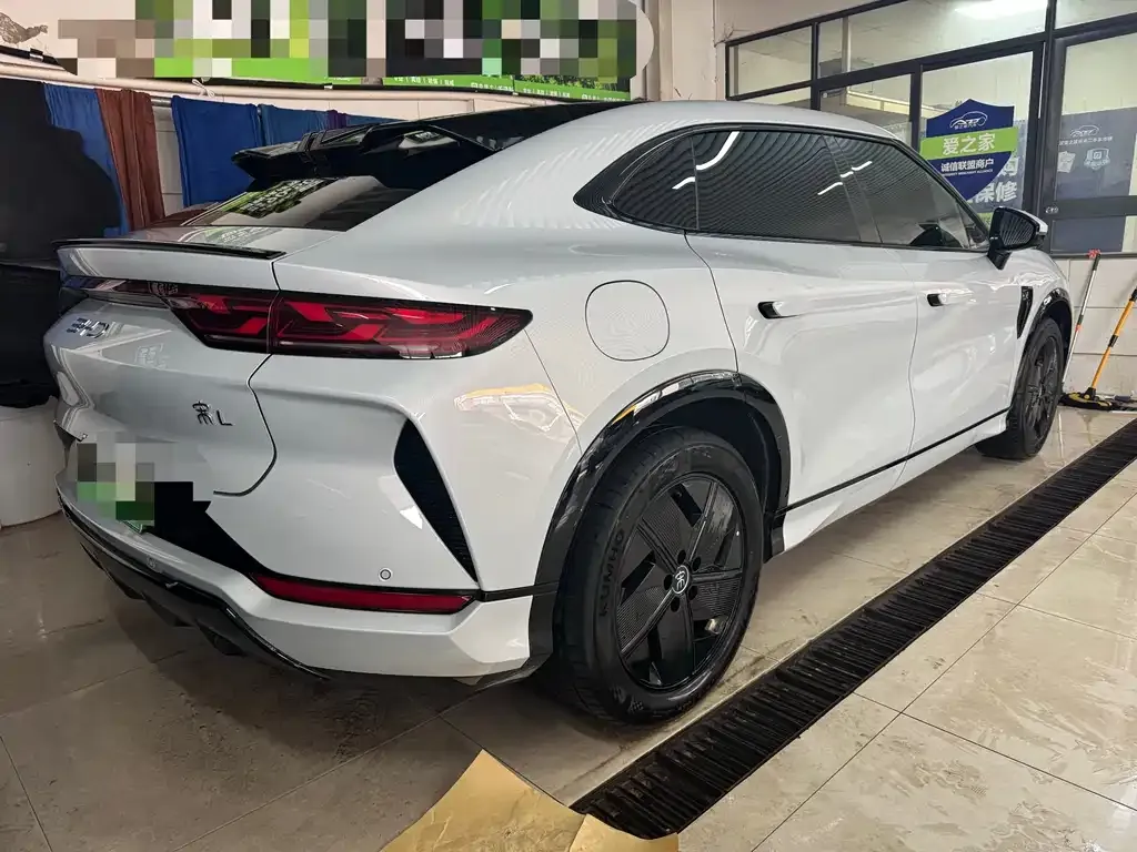 BYD L EV 2024 из CN, фото 7