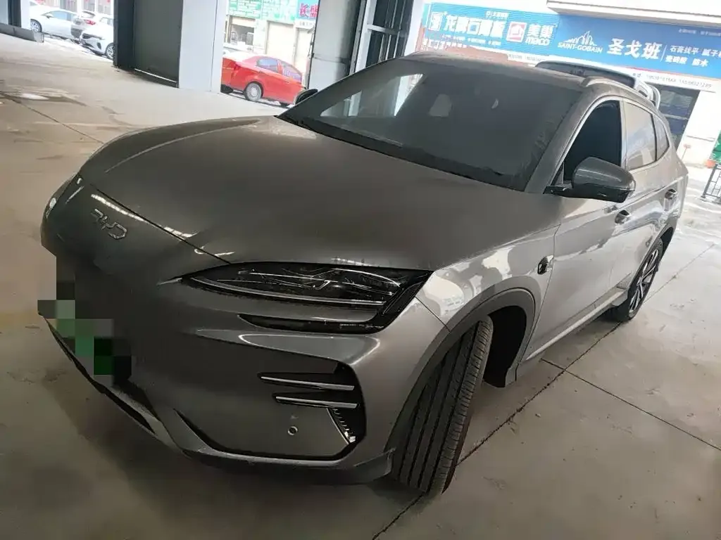 BYD PLUS New Energy — фото 1