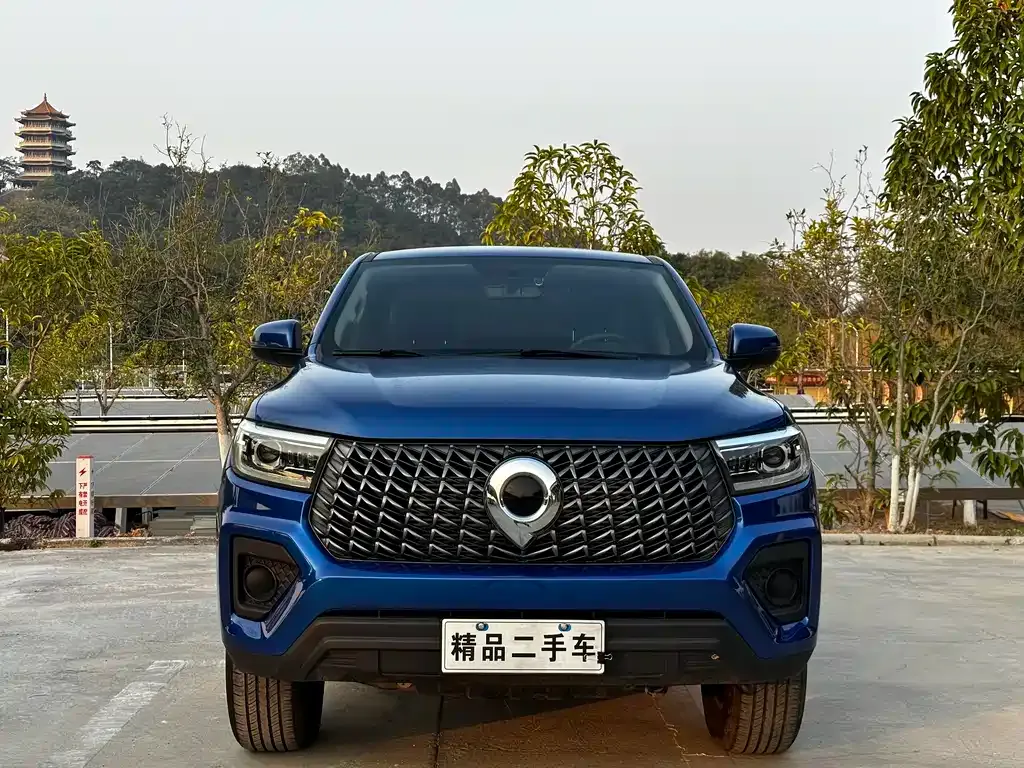 Great Wall Pao 2023 из CN, фото 8