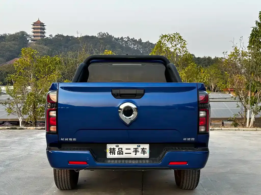Great Wall Pao 2023 из CN, фото 3