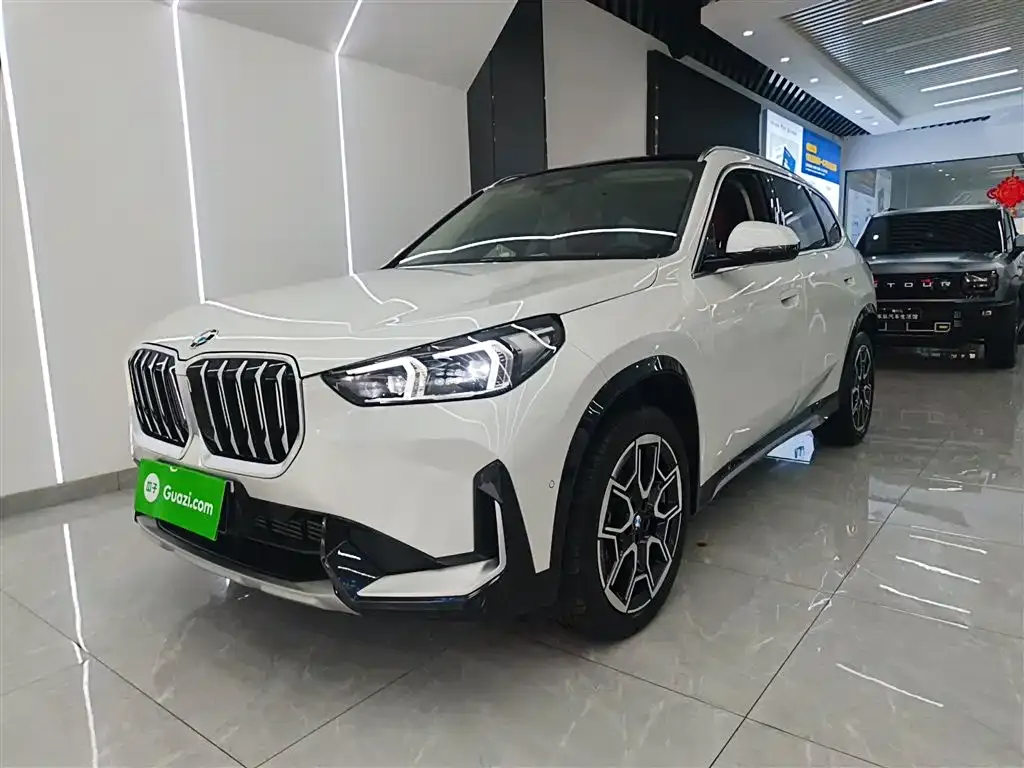 BMW X1 — фото 1