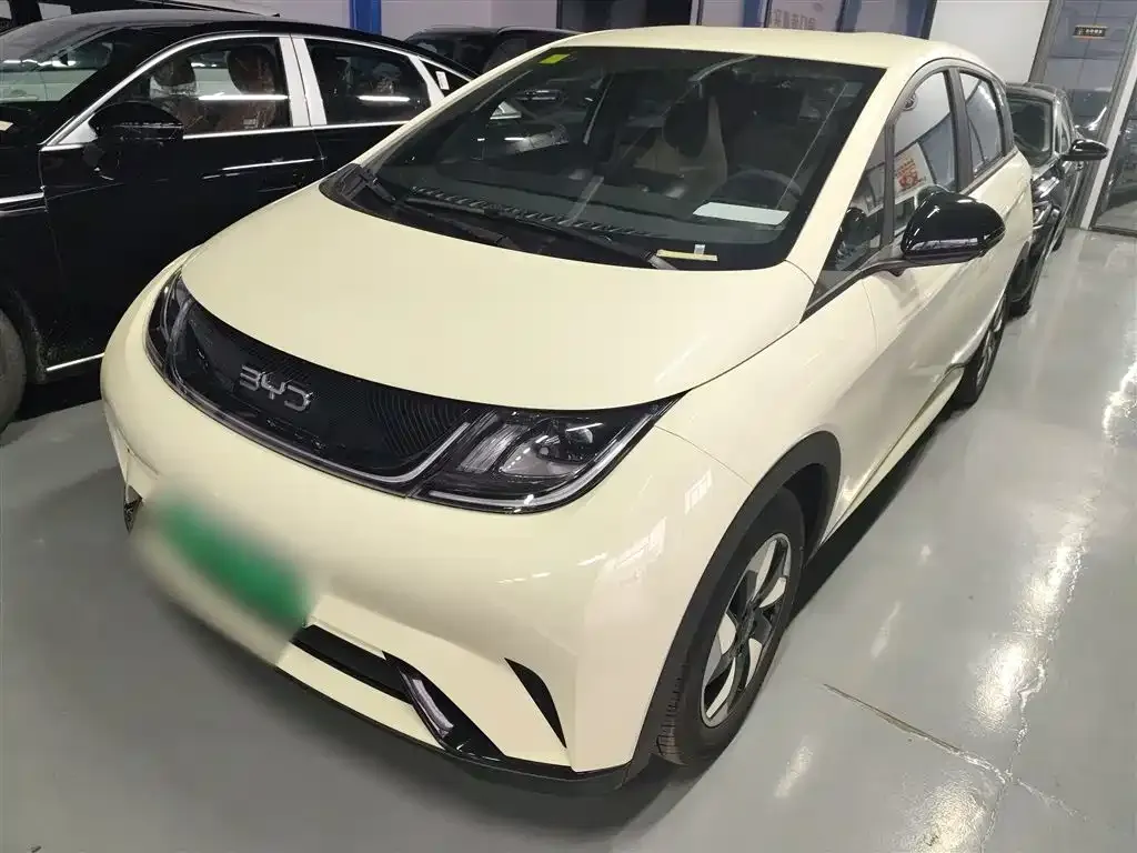 BYD Dolphin 2025 из CN, фото 1