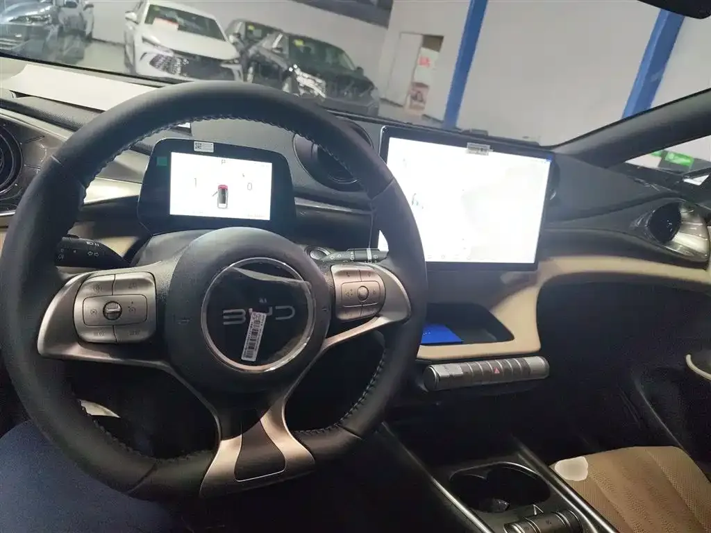 BYD Dolphin 2025 из CN, фото 4