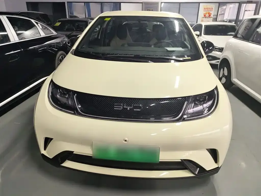 BYD Dolphin 2025 из CN, фото 5