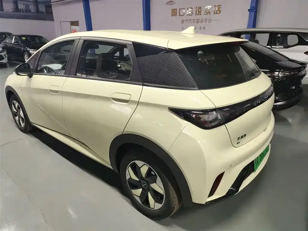 BYD Dolphin 2025 из CN, фото 3