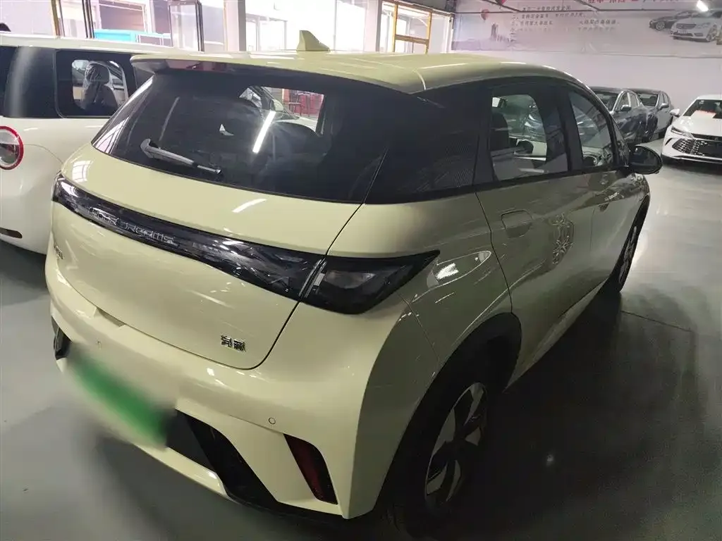 BYD Dolphin 2025 из CN, фото 9