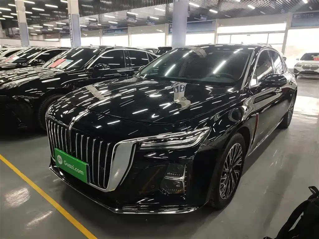 Hongqi H5 2024 из CN, фото 1
