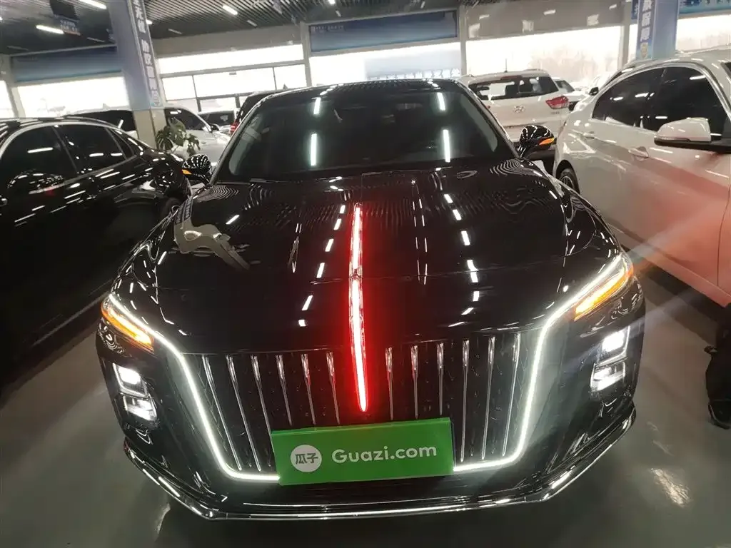Hongqi H5 2024 из CN, фото 10