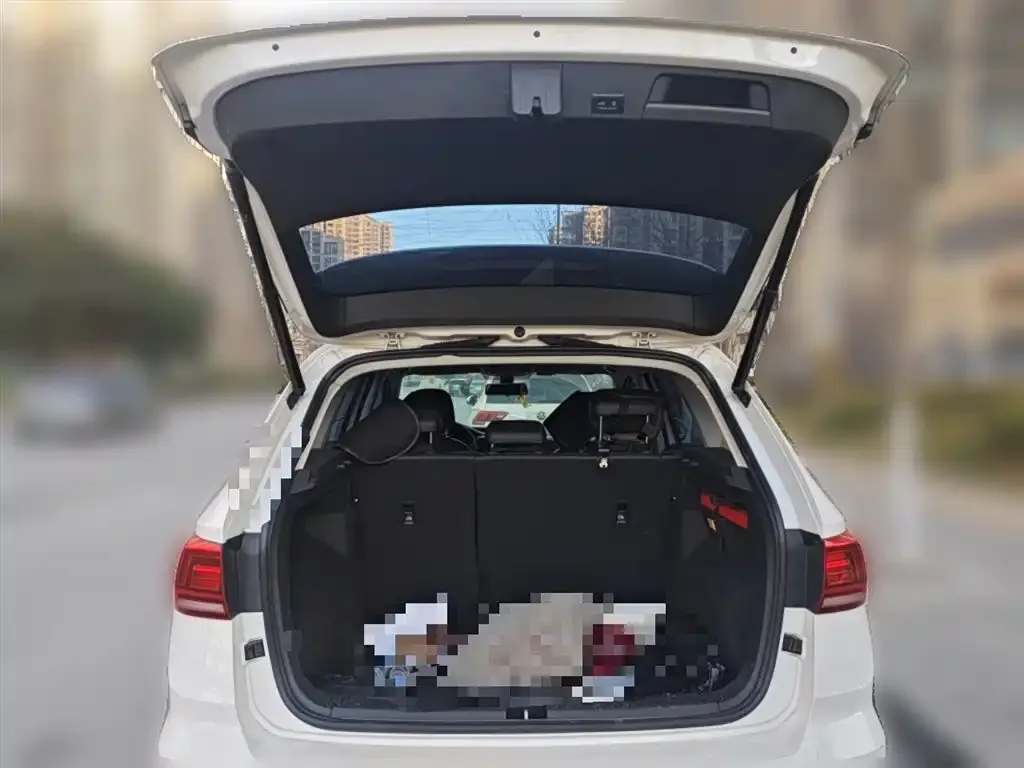 Volkswagen Tharu 2021 из CN, фото 7