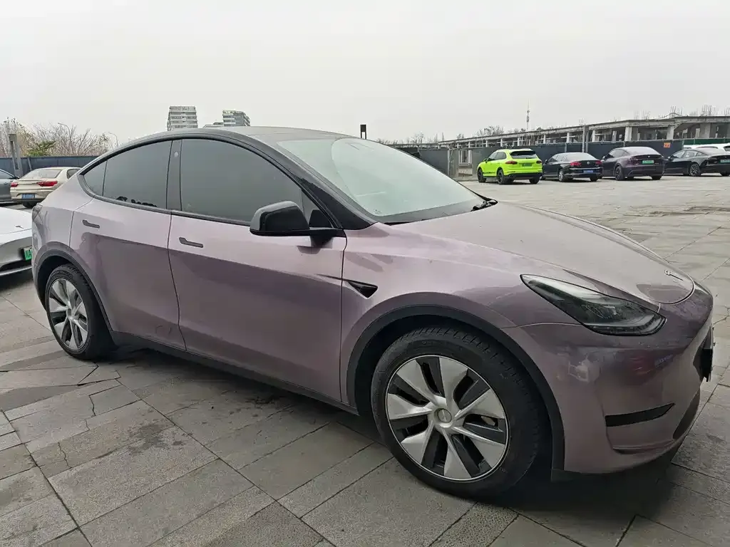 Tesla Model Y — фото 3