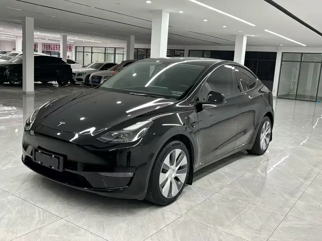 Tesla Model Y 2021 из CN, фото 1