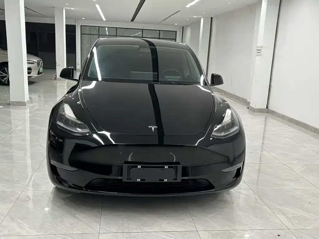Tesla Model Y 2021 из CN, фото 8