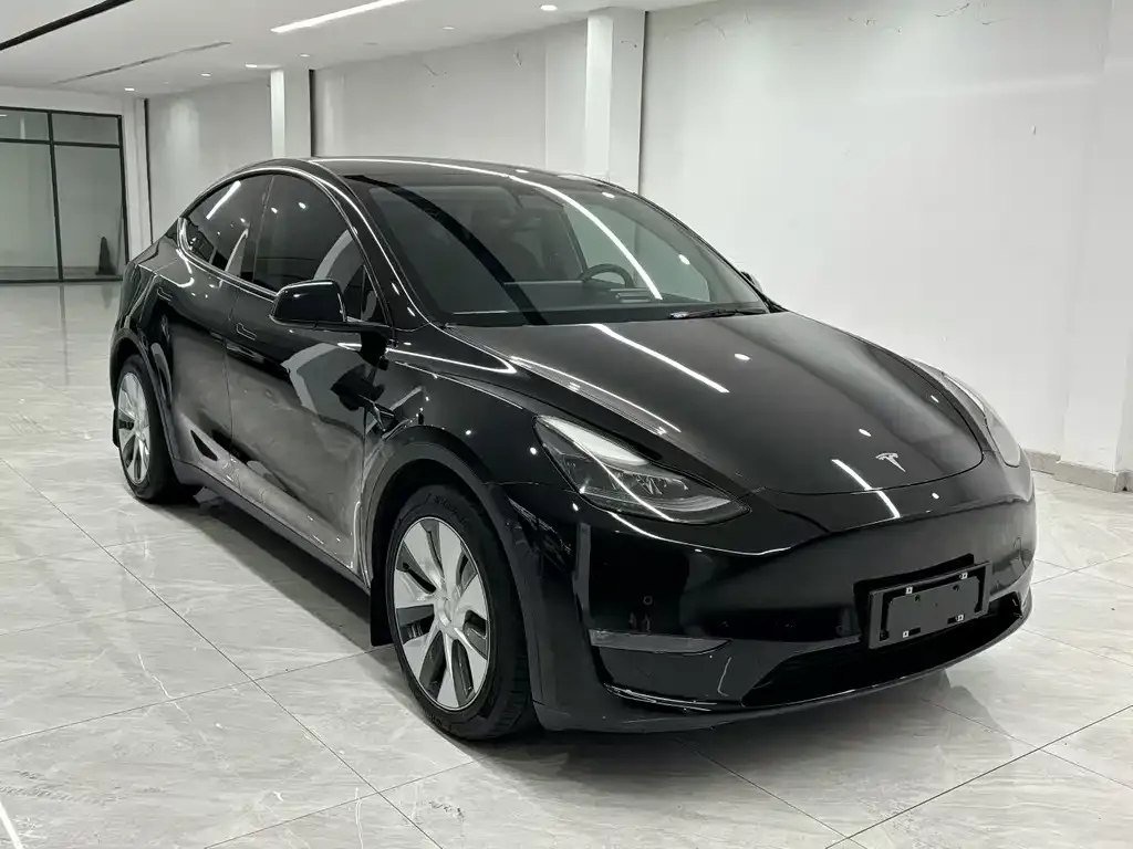 Tesla Model Y 2021 из CN, фото 7