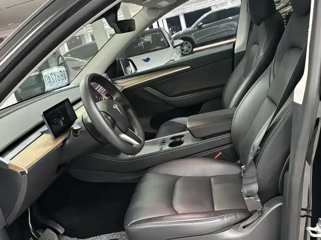 Tesla Model Y 2021 из CN, фото 3