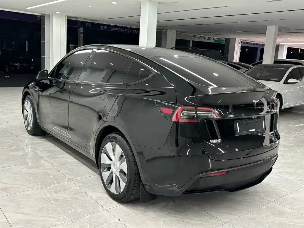 Tesla Model Y 2021 из CN, фото 2
