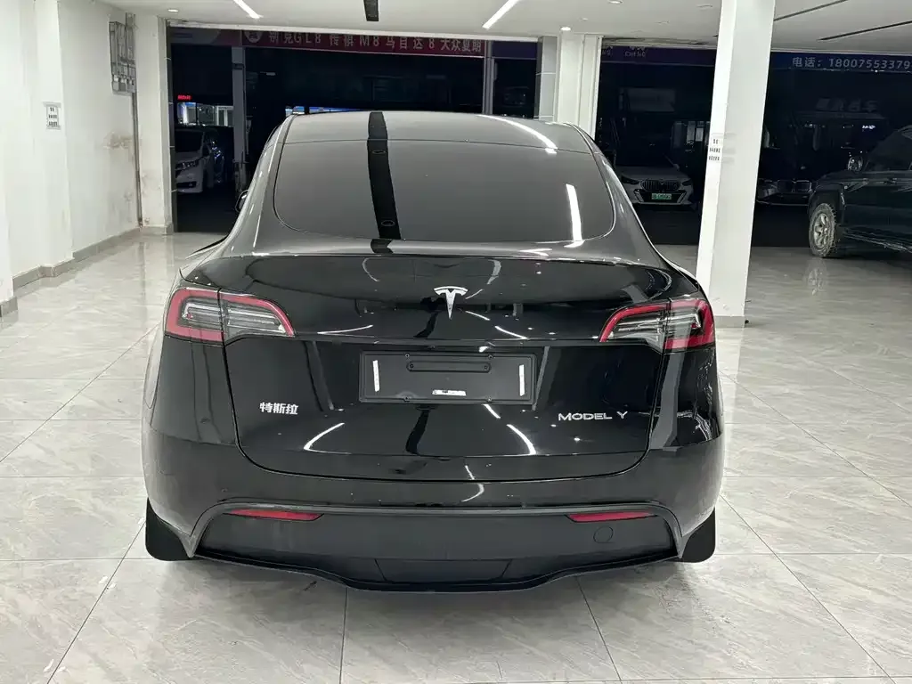 Tesla Model Y 2021 из CN, фото 6