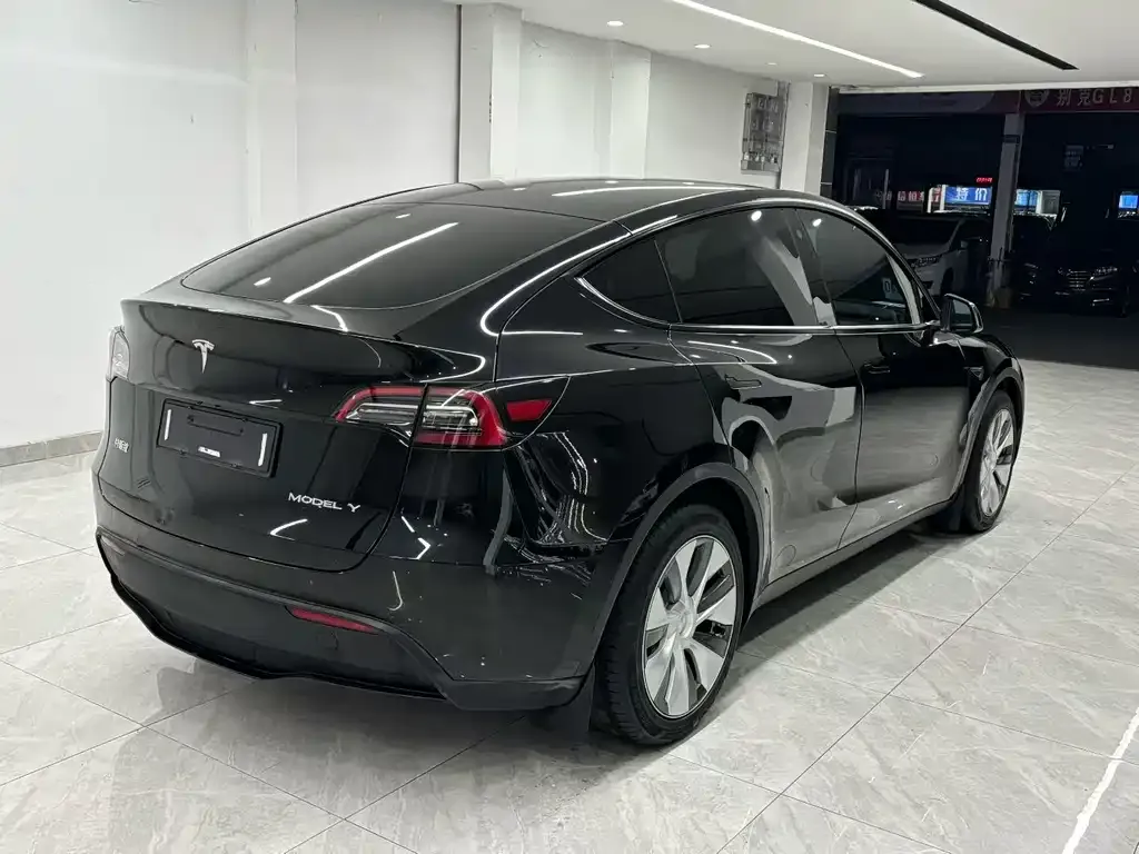 Tesla Model Y 2021 из CN, фото 5