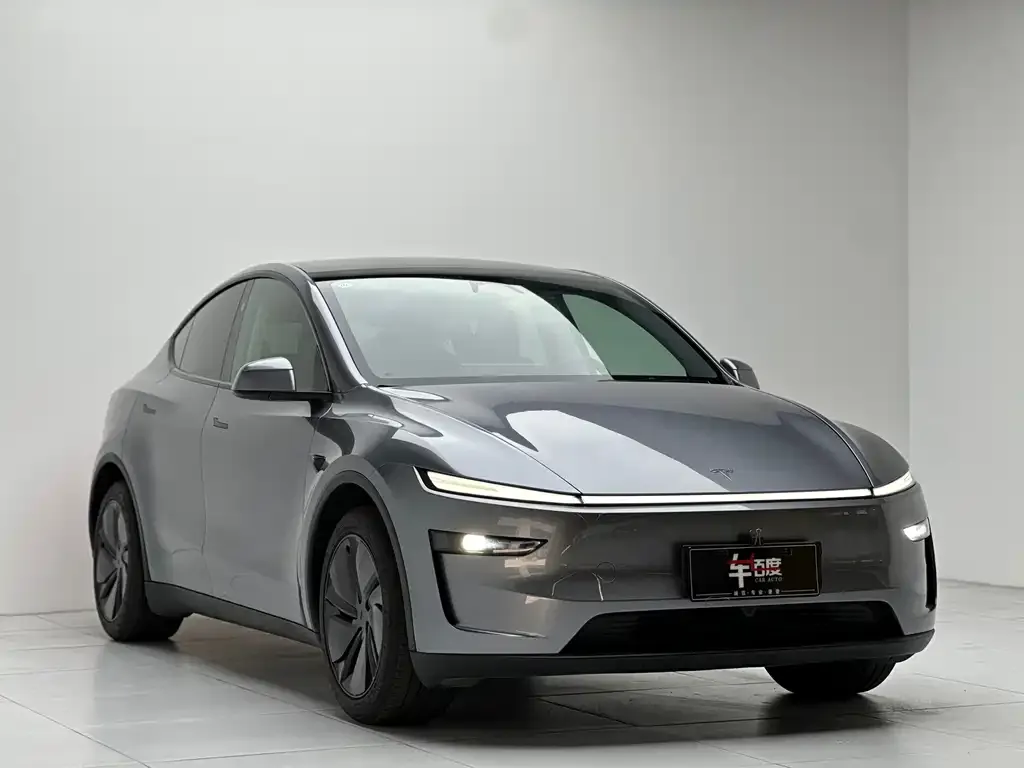 Tesla Model Y 2025 из CN, фото 2