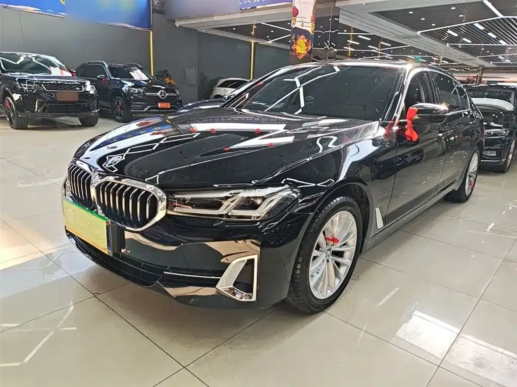 BMW 5 Series 2022 из CN, фото 1