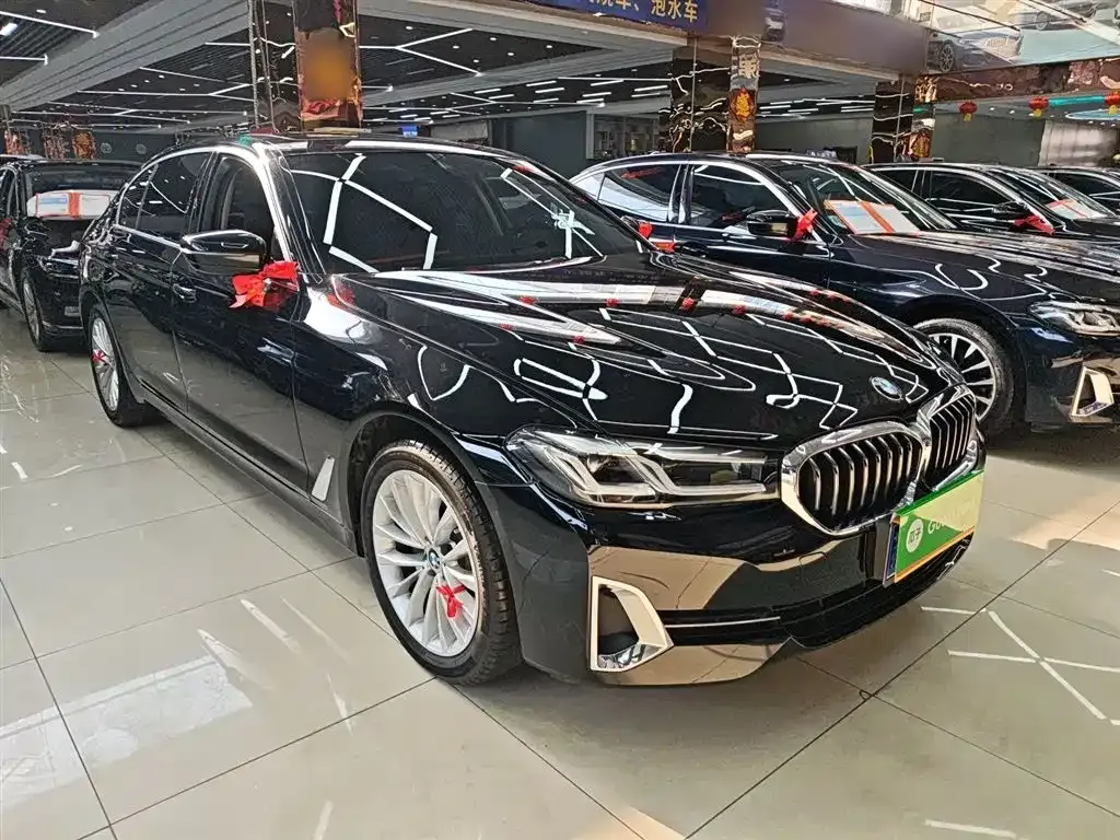 BMW 5 Series 2022 из CN, фото 4