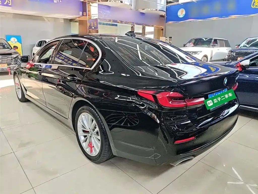 BMW 5 Series 2022 из CN, фото 7