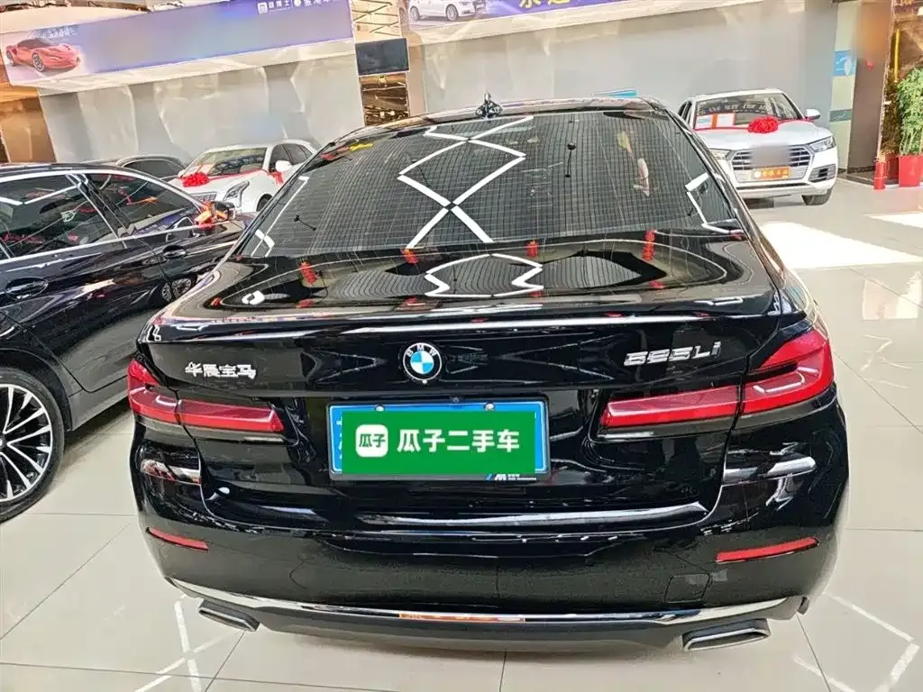 BMW 5 Series 2022 из CN, фото 5