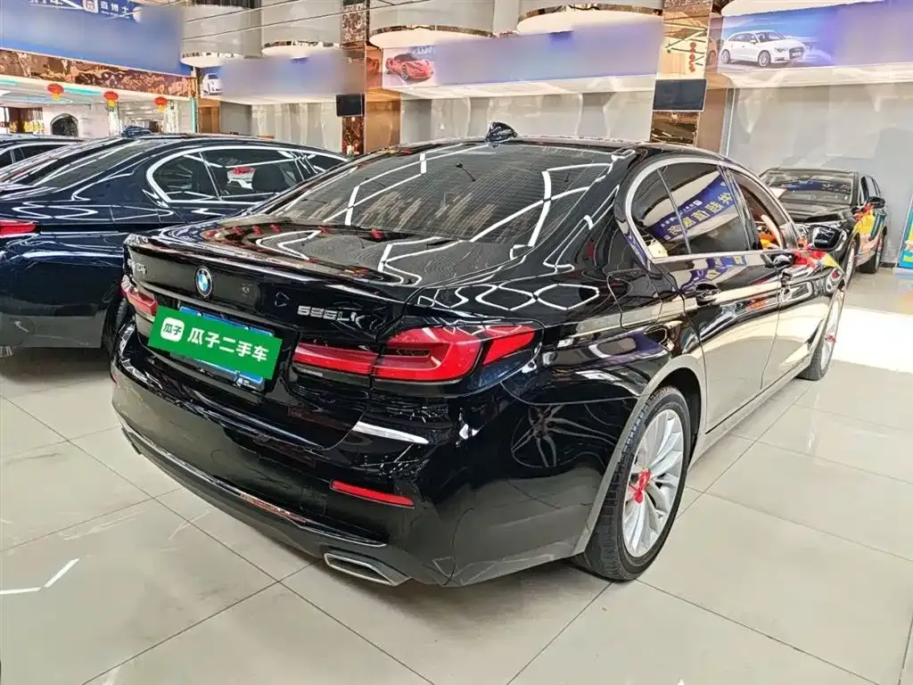 BMW 5 Series 2022 из CN, фото 8