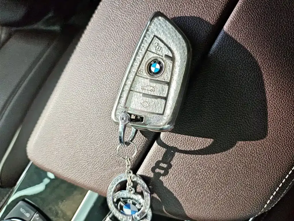 BMW 5 Series 2022 из CN, фото 10