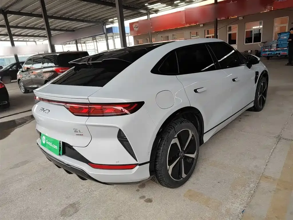 BYD L EV — фото 10