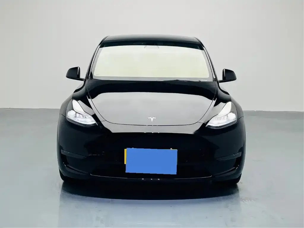Tesla Model Y 2023 из CN, фото 2