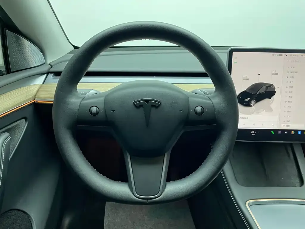 Tesla Model Y 2023 из CN, фото 9