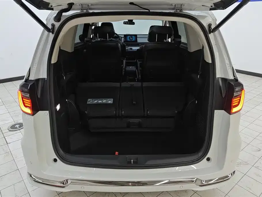 Honda Elysion 2023 из CN, фото 4