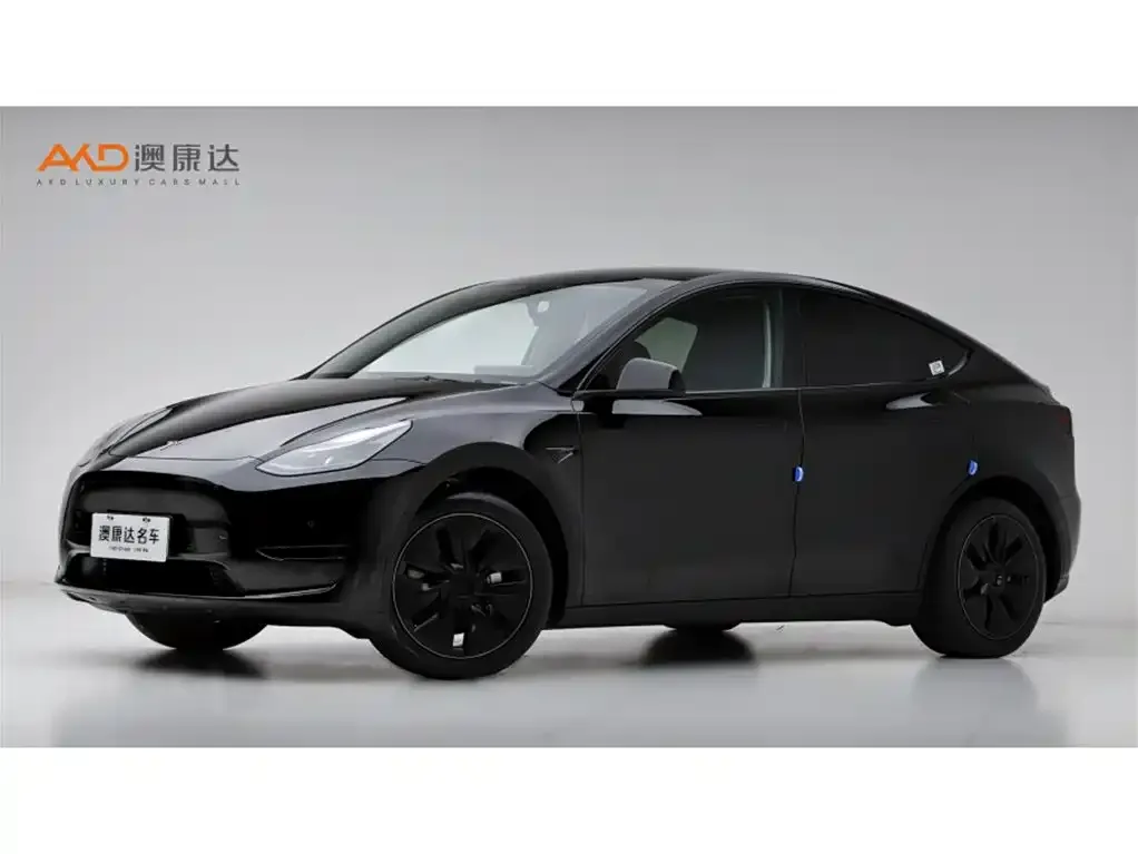 Tesla Model Y 2024 из CN, фото 1