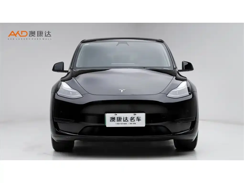Tesla Model Y 2024 из CN, фото 2