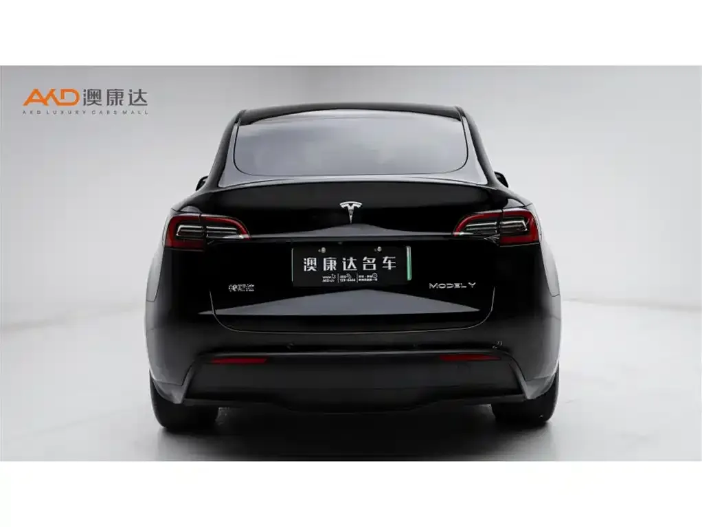 Tesla Model Y 2024 из CN, фото 3